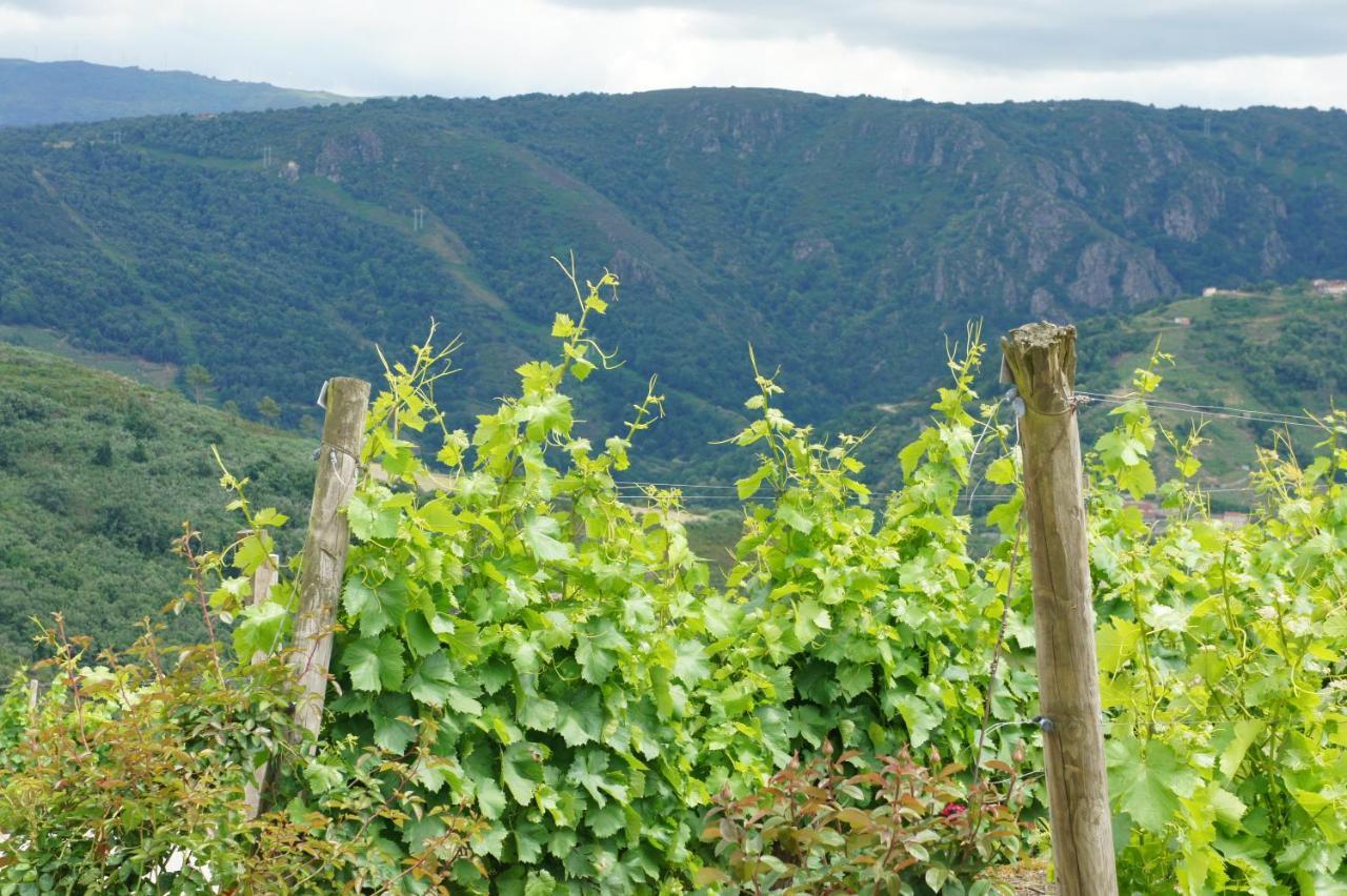 Barantes O Muino Casa Ferrador Ribeira Sacra 아파트 외부 사진